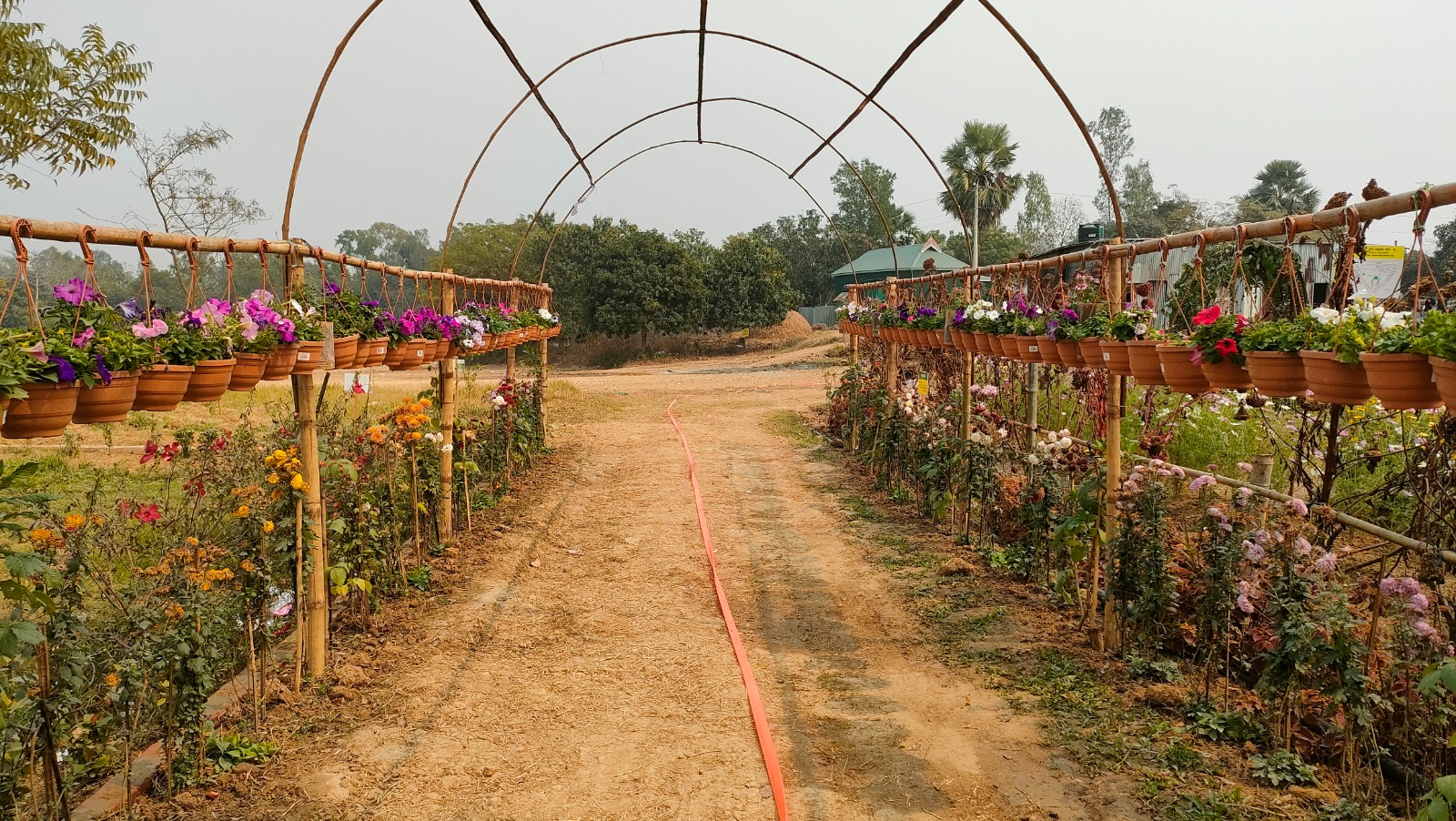 Kazi Nazrul Islam Park